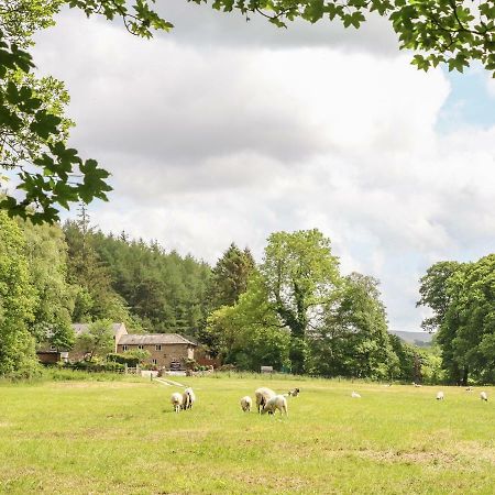 Spens Farm Cottage Lancaster Ngoại thất bức ảnh